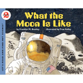 What the Moon Is Like