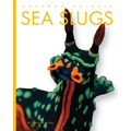 Sea Slugs
