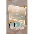 The Nature of Emotions
