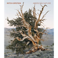 Mitch Epstein: American Nature