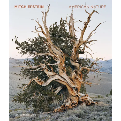 Mitch Epstein: American Nature