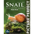 Snail: Picture Perfect Photo Book