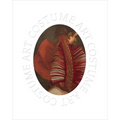 Costume Art