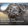 Days in the African Savannah