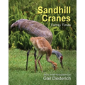 Sandhill Cranes, Family Times