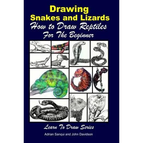Drawing Snakes and Lizards - How to Draw Reptiles For the Beginner