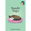 Bandit Naps