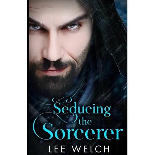 Seducing the Sorcerer - Paperback