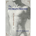 The Human Figure