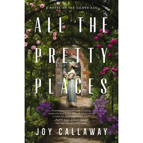 The All the Pretty Places: A Novel of the Gilded Age