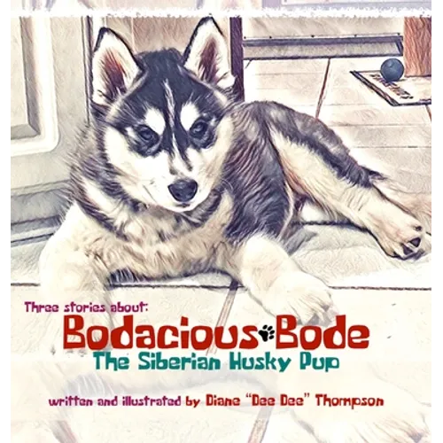 Bodacious Bode - The Siberian Husky Pup