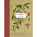 Vintage Botany Prints: Vol. 2