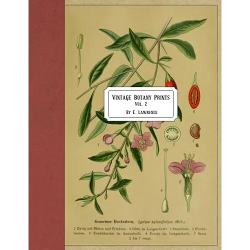 Vintage Botany Prints: Vol. 2